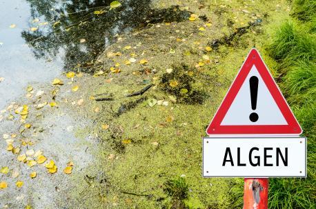 Das Bild zeigt einen Teich voller Moos und Algen. Neben dem Teich steht das Achtung Schild mit einem kleinen Schild darunter der mit dem Wort 